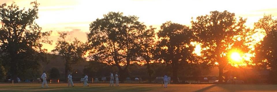 Women's Cricket Week banner
