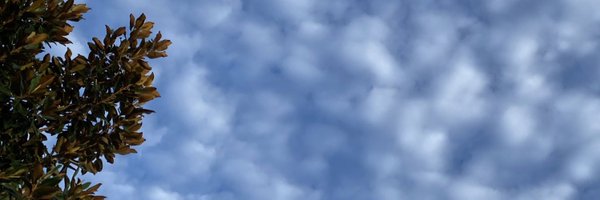 cobalt_rabbit Profile Banner