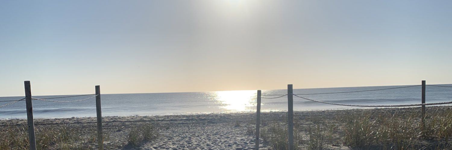 Donna Peterson banner