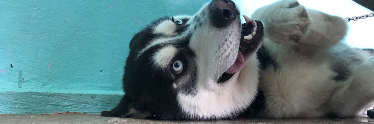 ManuGnnR's profile banner image