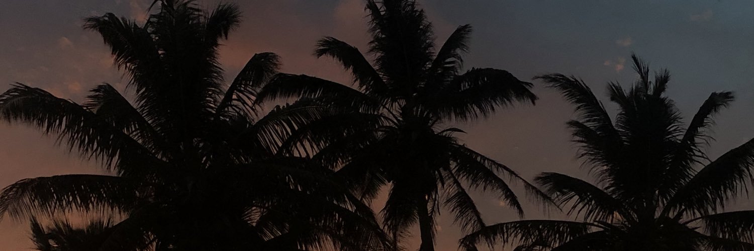 davinblas's profile banner image
