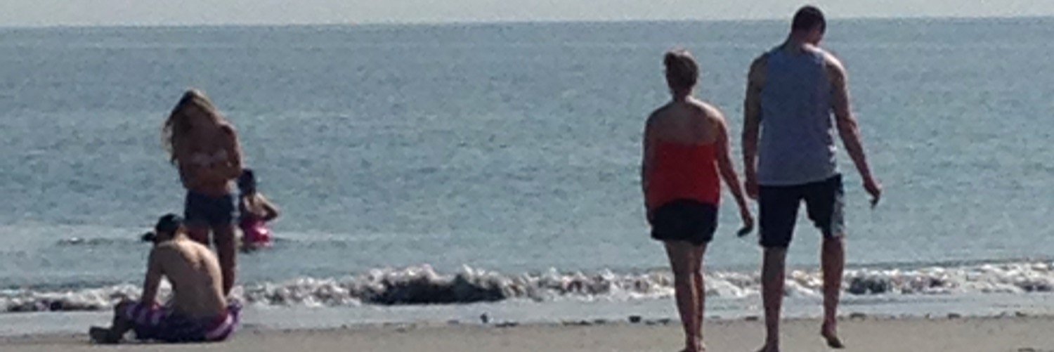 Christine Sullivan banner