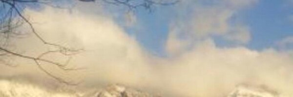 mp_odini Profile Banner