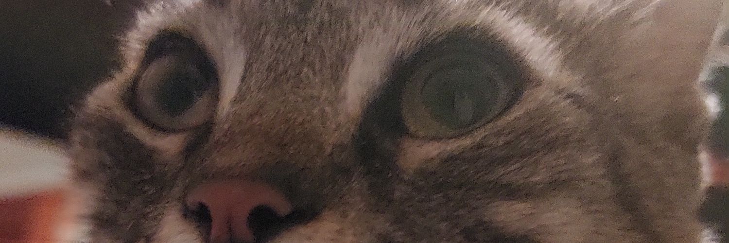 Tikei_98's profile banner image