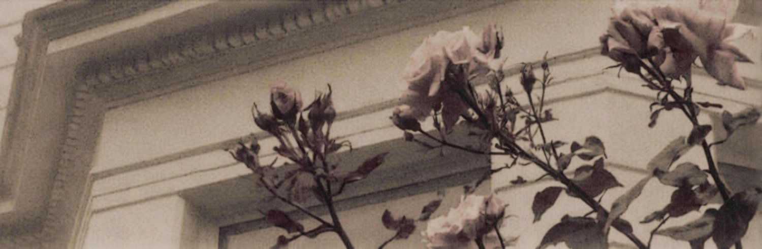 IIlIIIIIIIl's profile banner image