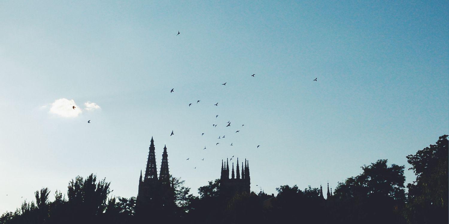 bea_arroyo's profile banner image