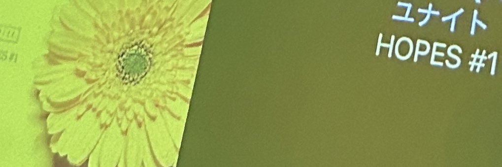 kanimisonon's profile banner image