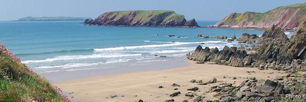 buylocalpembs's profile banner image