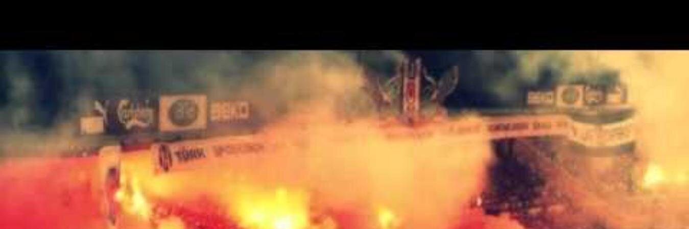 AliiAvcii's profile banner image