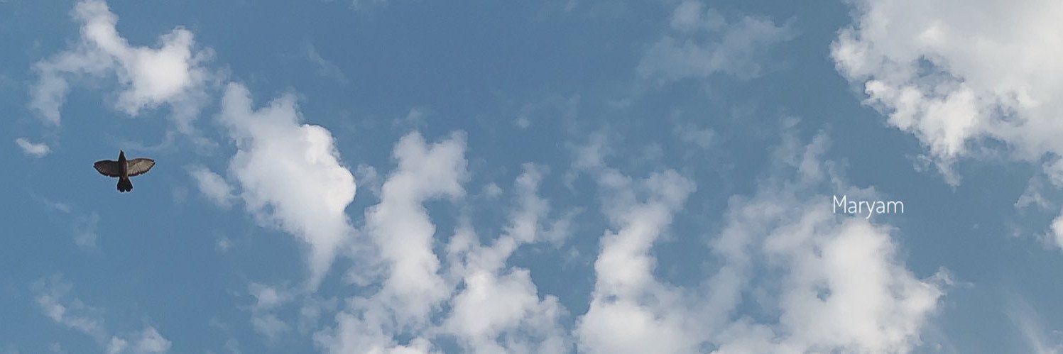 samee702's profile banner image