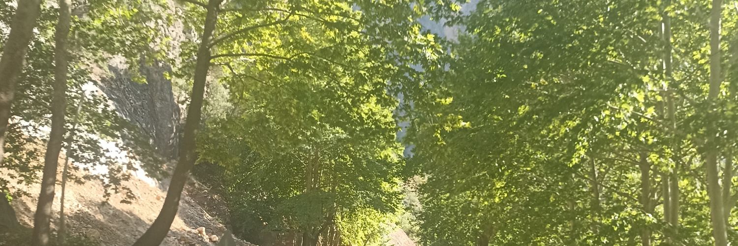 servan_005's profile banner image