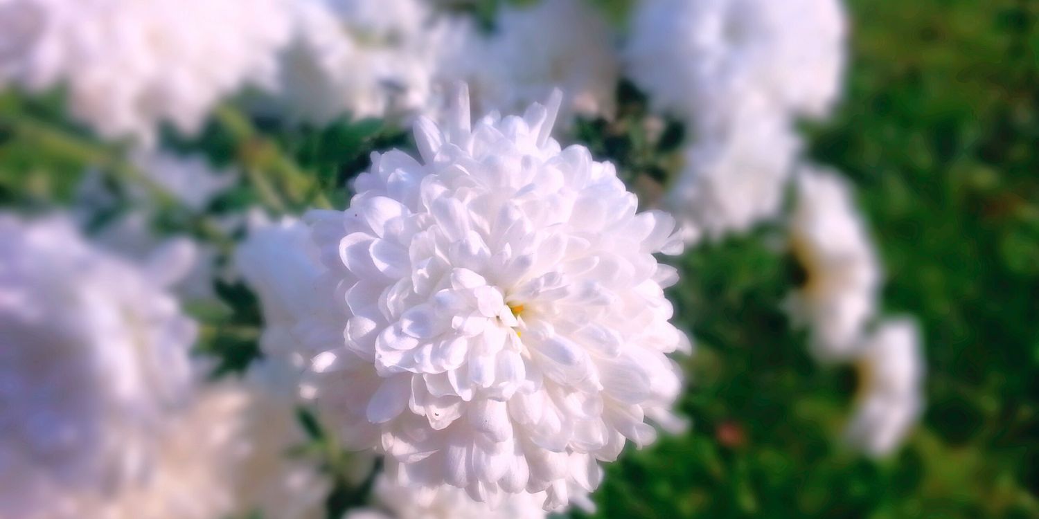 jula6107's profile banner image