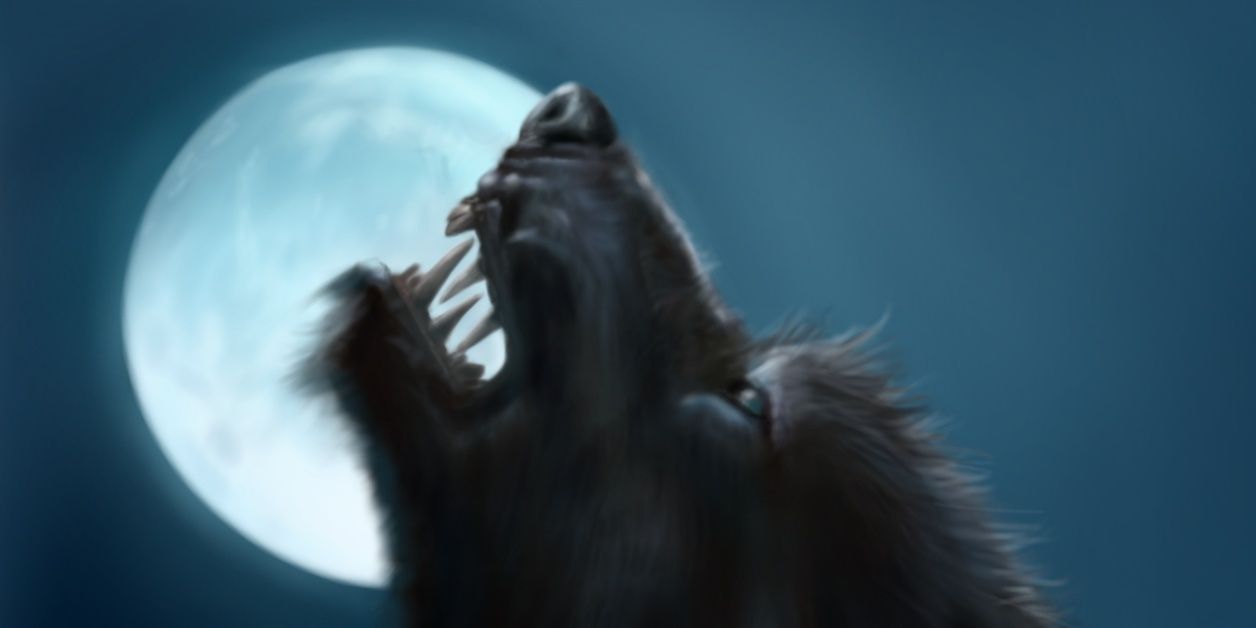 HarryKourpas's profile banner image