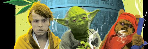 Ben_Cannabis's profile banner image