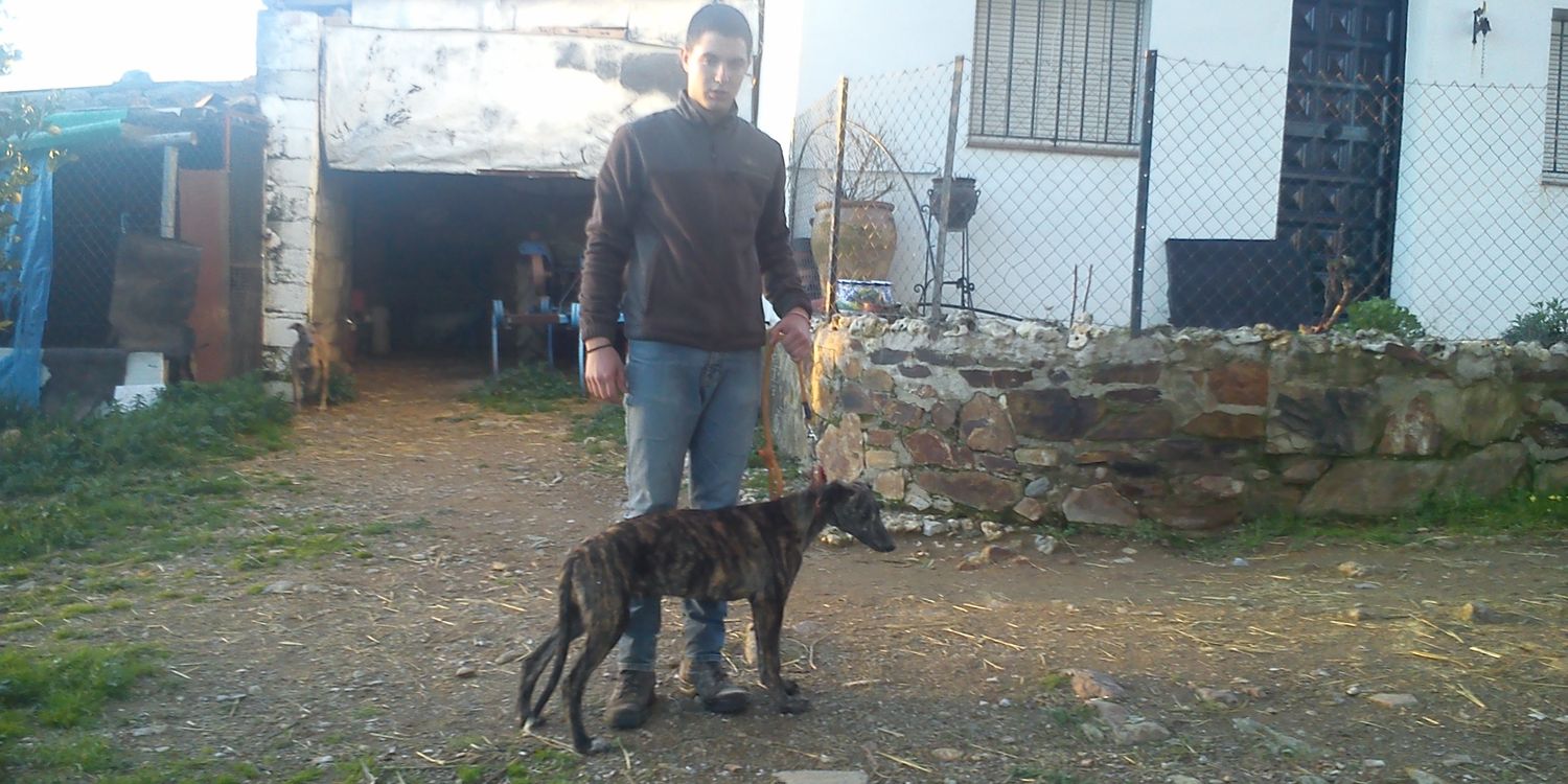 fuentes_mateos's profile banner image