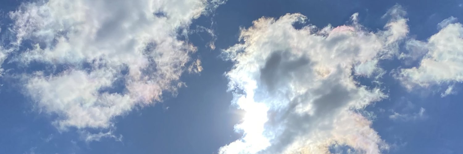 BeikaDimi's profile banner image