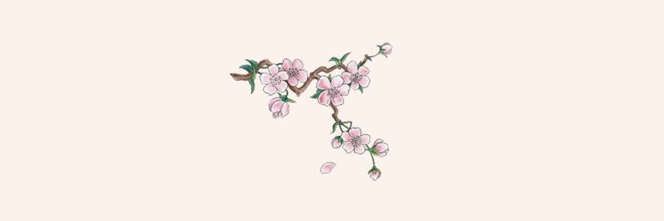 aestheticloki's profile banner image