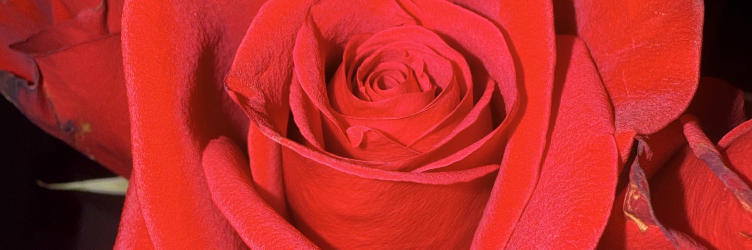 ℜ 𝔬 𝔰 𝔢 banner