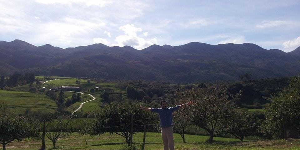 Guillermo Ricchetti banner