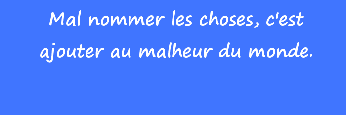 Seb Walrus 🇫🇷 ⭐️⭐️ ♥️💙 banner