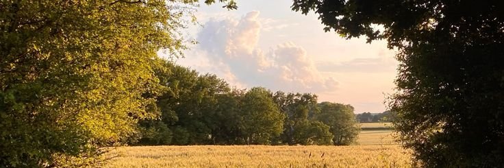 dadelafuente's profile banner image