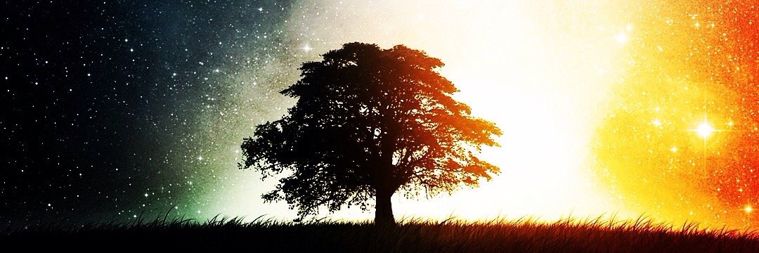 margotalve's profile banner image