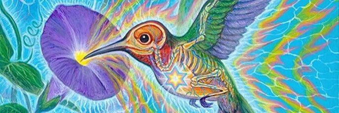 Jaaaaaango's profile banner image