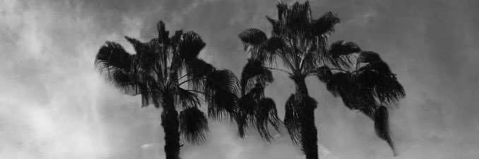 cade_moyer's profile banner image