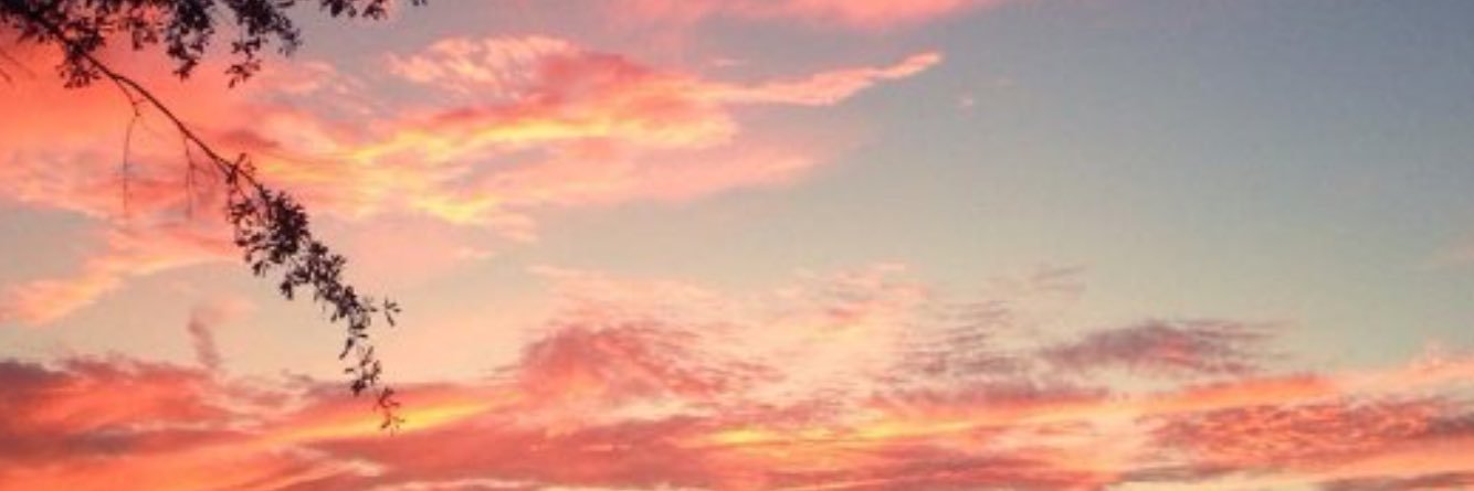 DjtxsMike's profile banner image