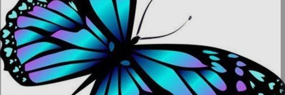 nihalzgn's profile banner image