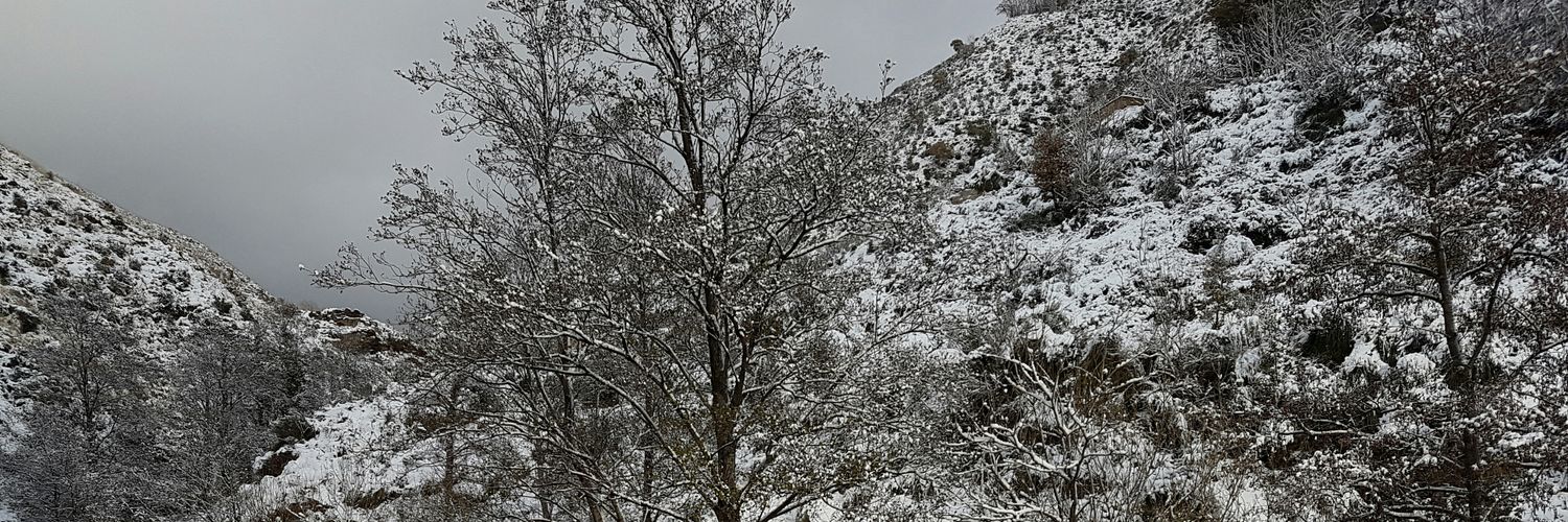 Simone Assumma banner