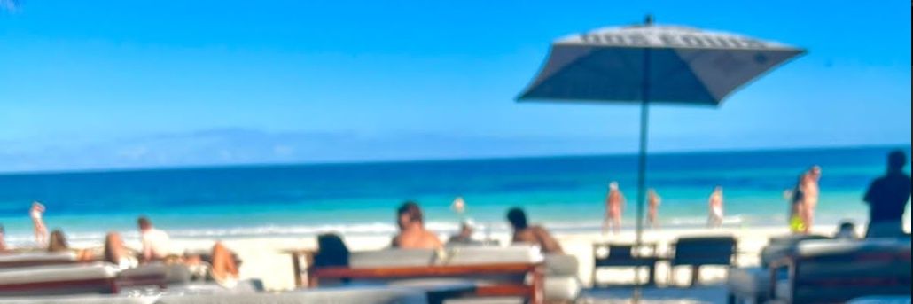 DFonseca28's profile banner image