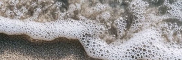 rogueskimo Profile Banner