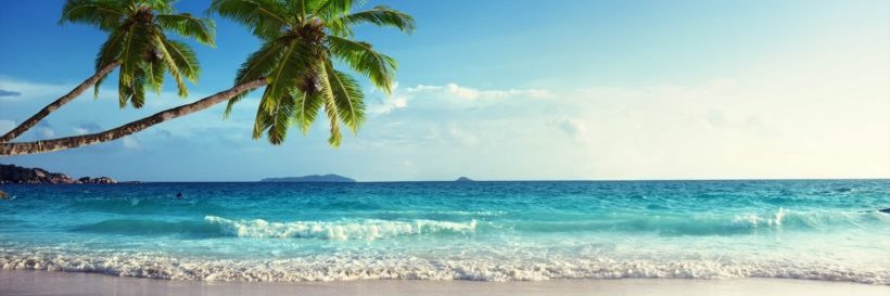 ANGELES BRAVO banner