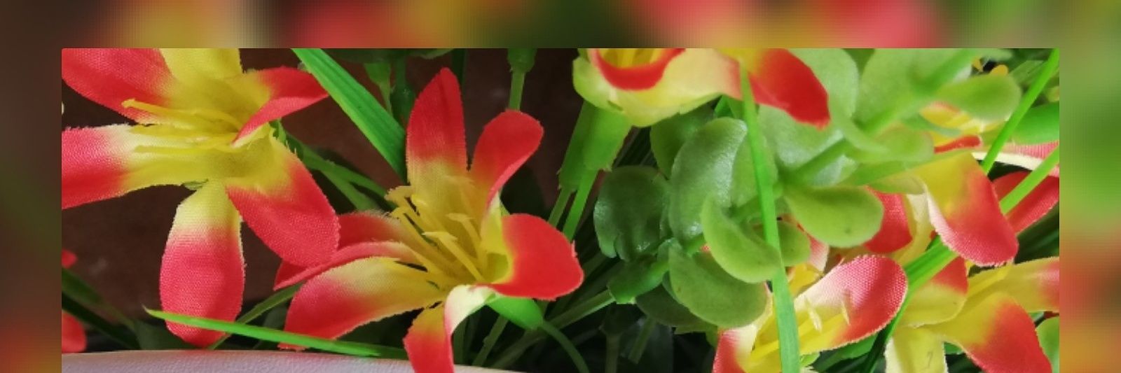 Milya_ec's profile banner image