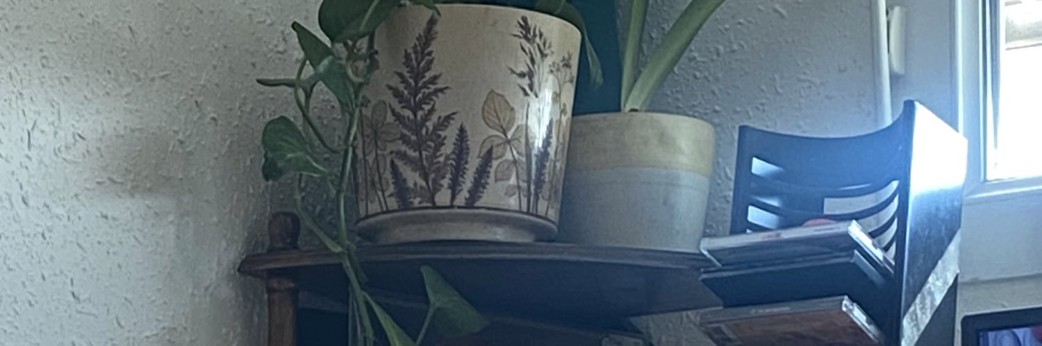 strawbewen's profile banner image