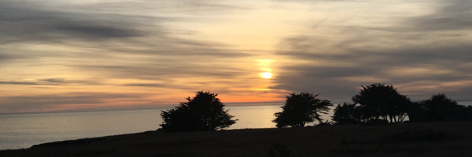 Colleen Jansen banner