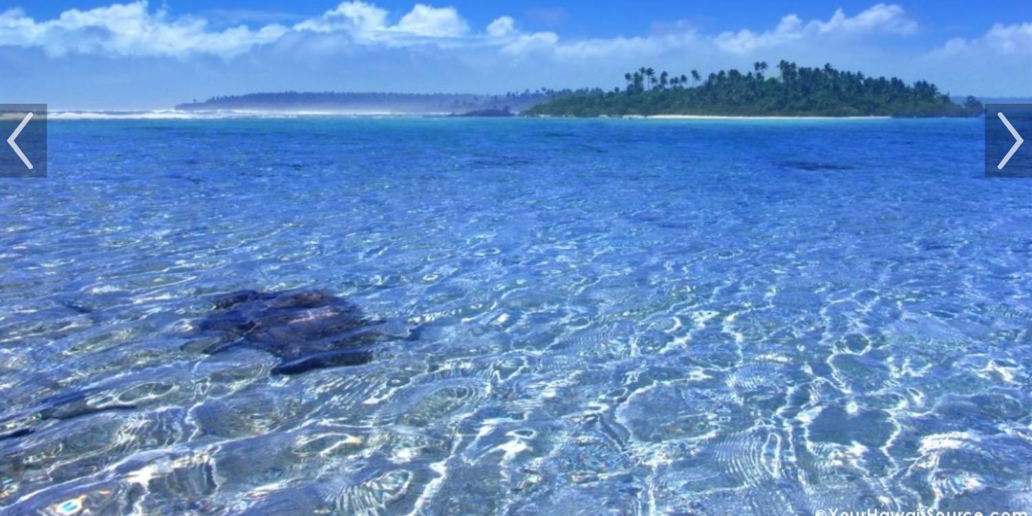 Jennifer Molitor banner