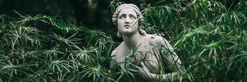 La Desidia Hardcore banner