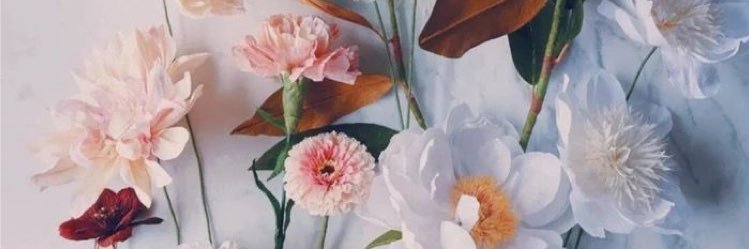 kaitlyn_weiser's profile banner image