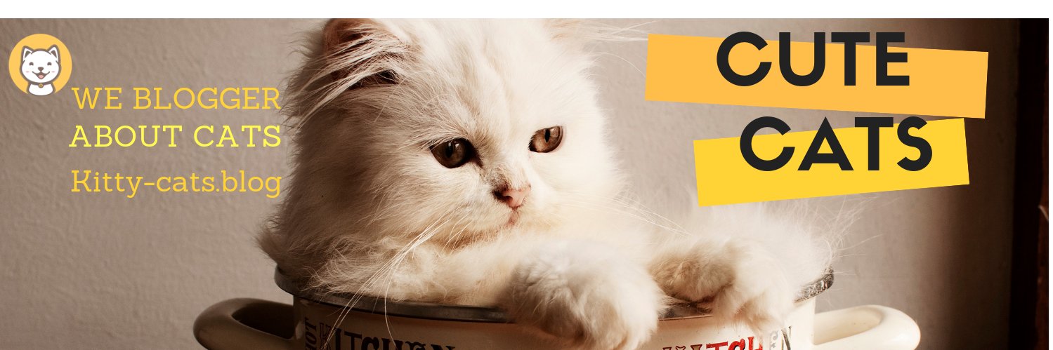 pet_cute1's profile banner image