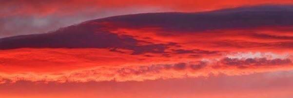 Alberto Maldonado banner