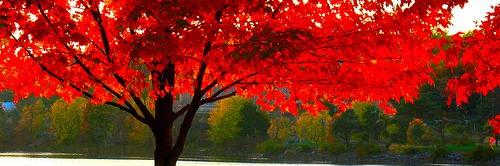 Kristen_Sfk's profile banner image