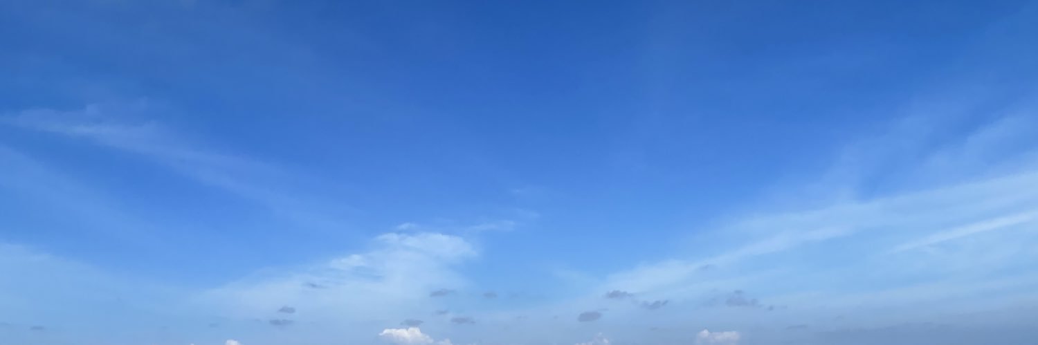 alliechx's profile banner image
