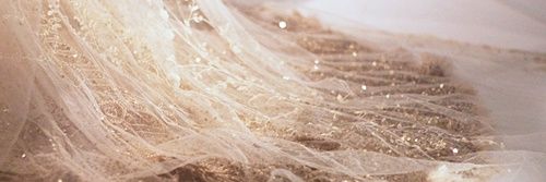 blondeswanson's profile banner image