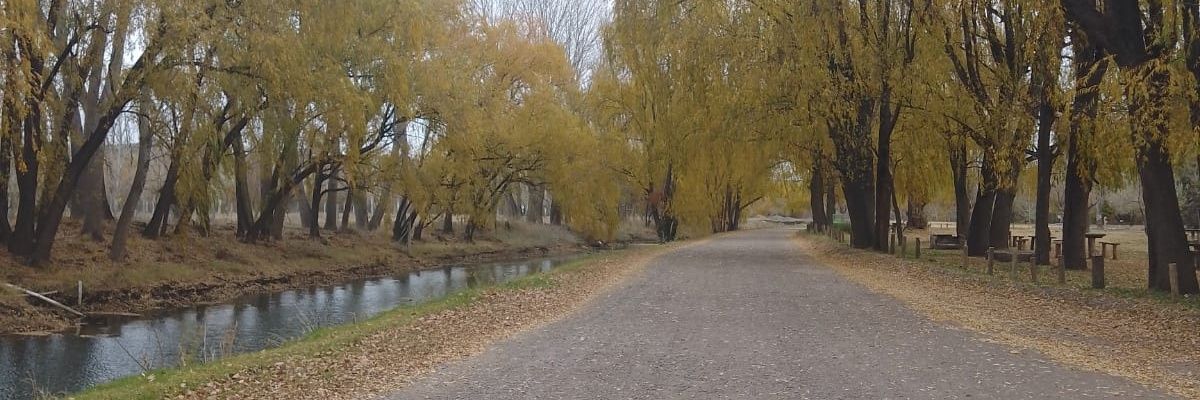 EmilianoMoron's profile banner image