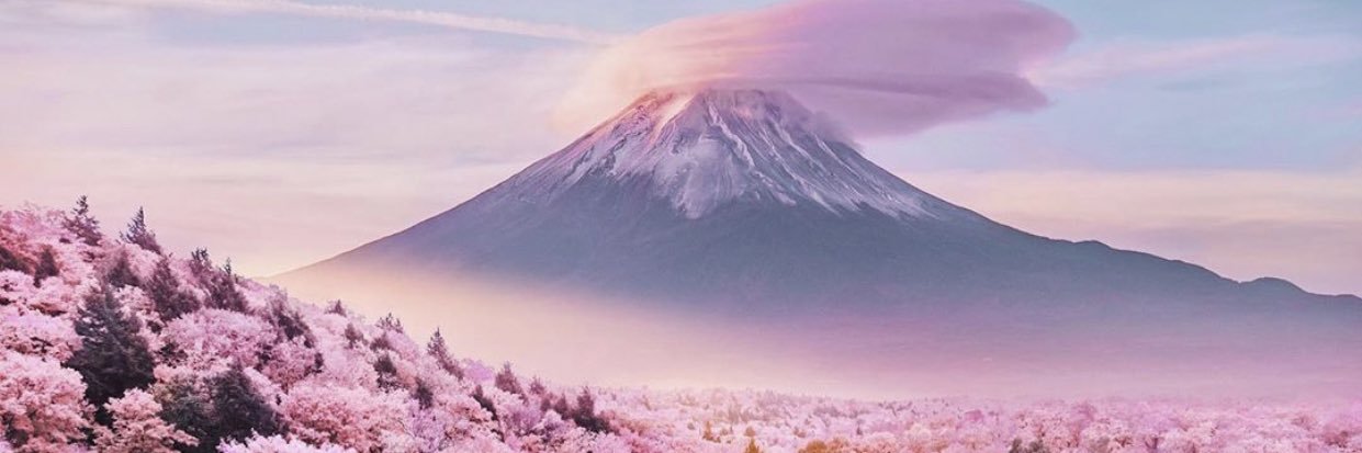 _phallus_'s profile banner image