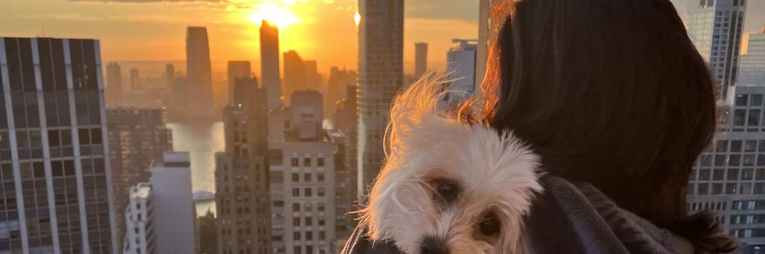 paigebennett22's profile banner image