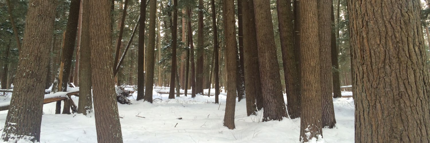 esj_mi's profile banner image