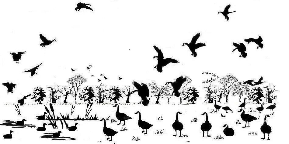 FowlChase's profile banner image